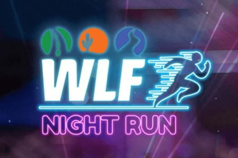 Imagem de divulgação: Wlf Night Run 2026