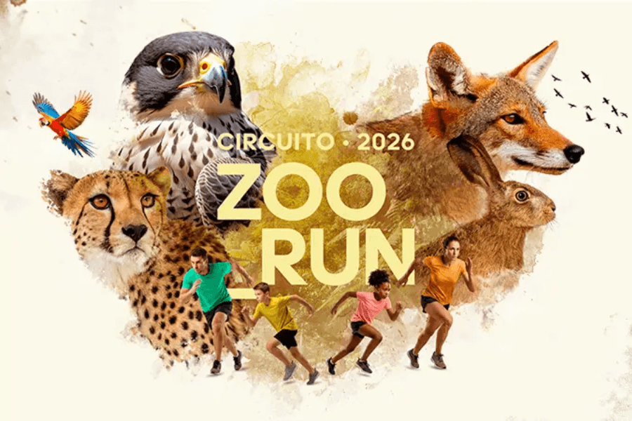 Imagem de divulgação: ETAPA COIOTE - Circuito ZOO RUN