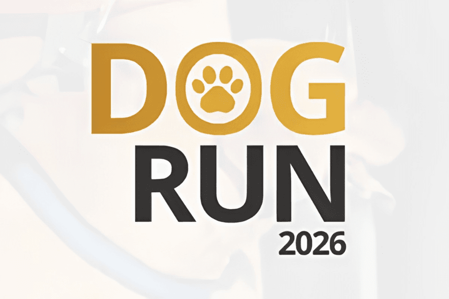Imagem de divulgação: Dog Run