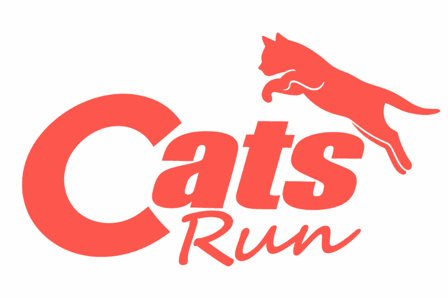 Imagem de divulgação: Cats Run