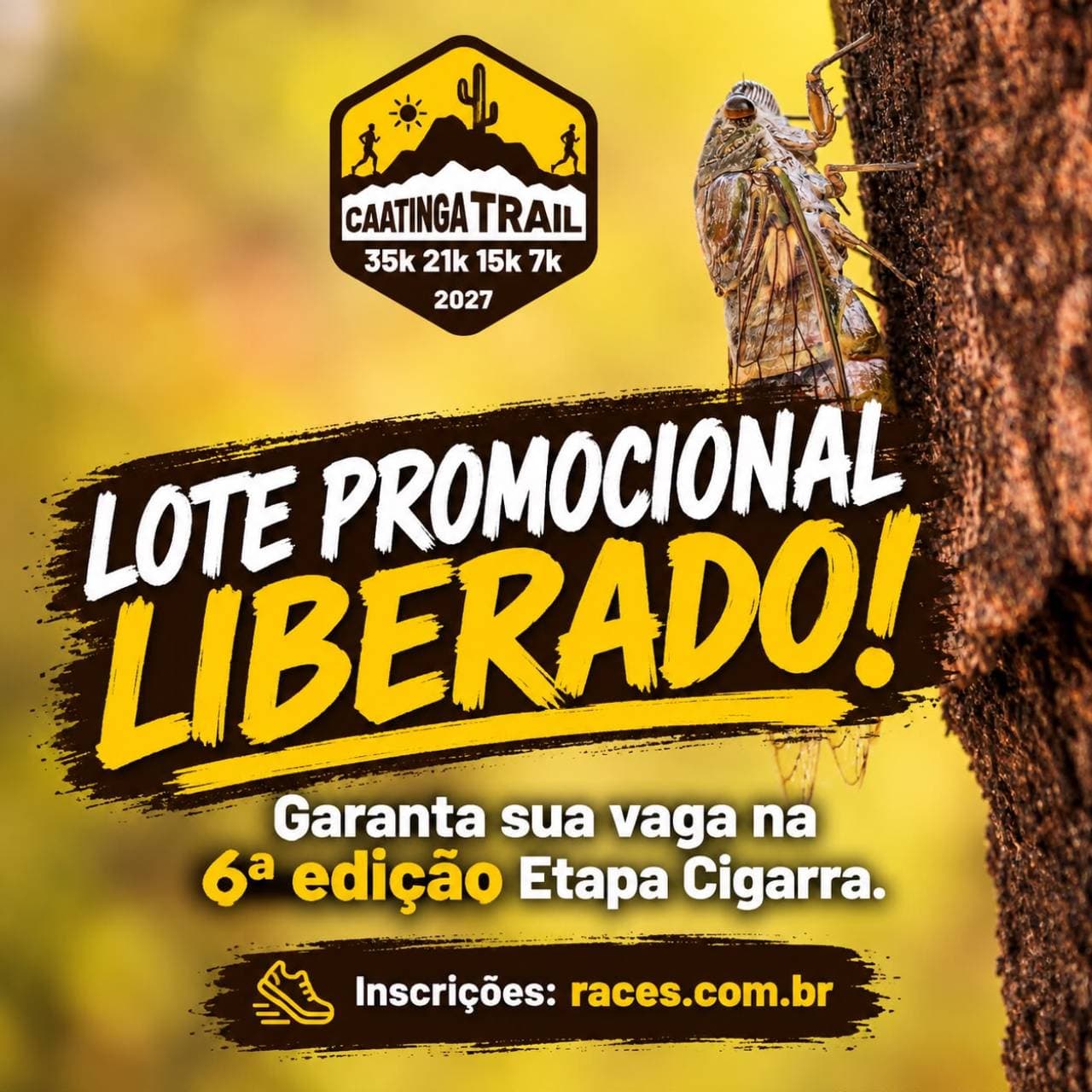 Imagem de divulgação: Caatinga Trail 2027 - Etapa Cigarra